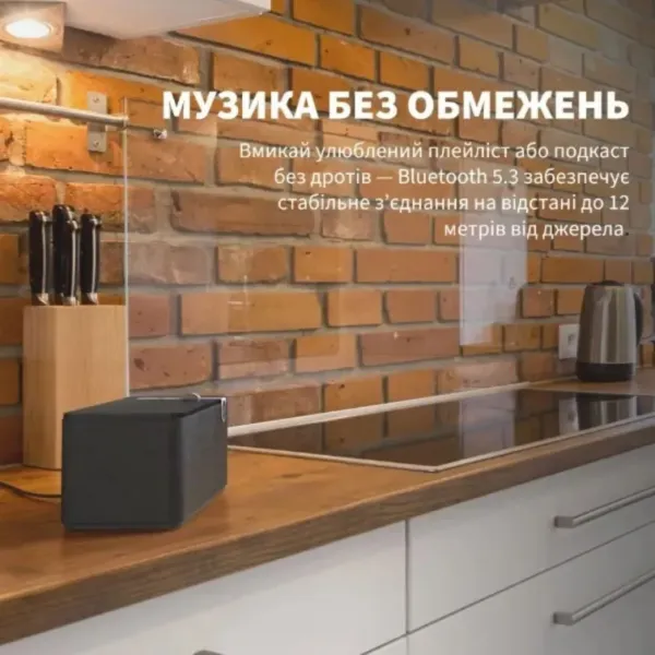 Портативна акустика Klipsch The One Plus (Matt Black) (1071959)