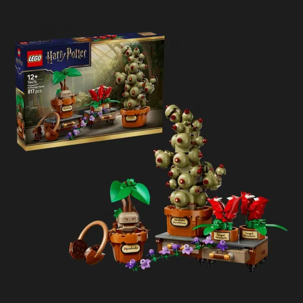 Конструктор LEGO Harry Potter Рослини з курсу гербології (76474)