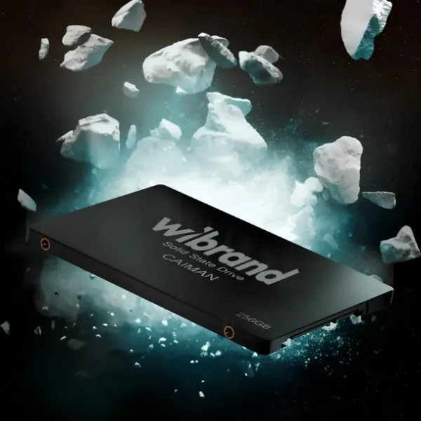 SSD накопичувач Wibrand Spider 960GB 2.5 (WI2.5SSD/SP960GBST)