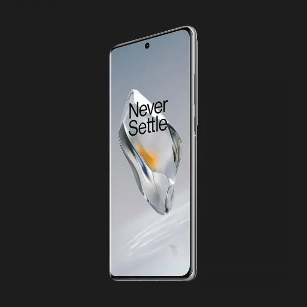 OnePlus 12 24/1TB (Silver) (Standard)