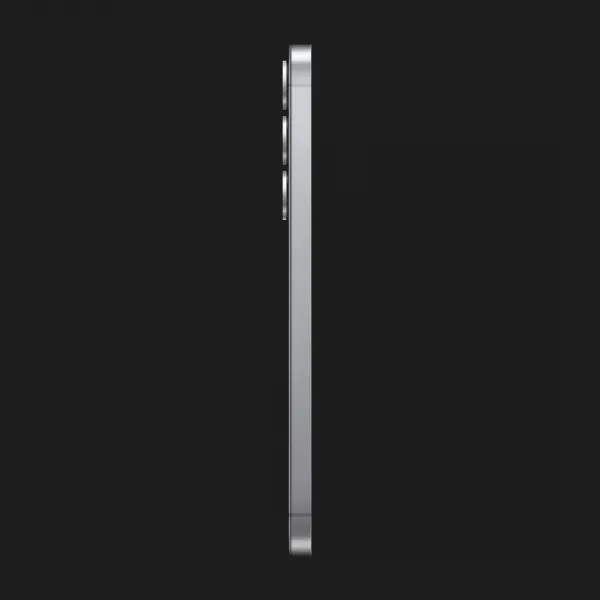 Samsung Galaxy S25 12/512GB (Silver Shadow) (S931) (Standard)